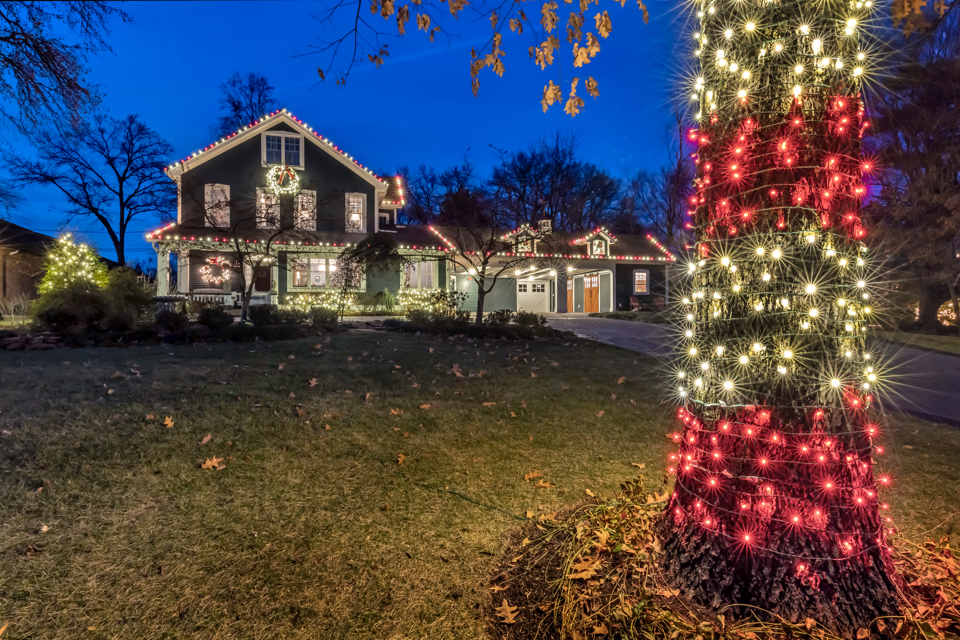 house with tree and christmas lights
