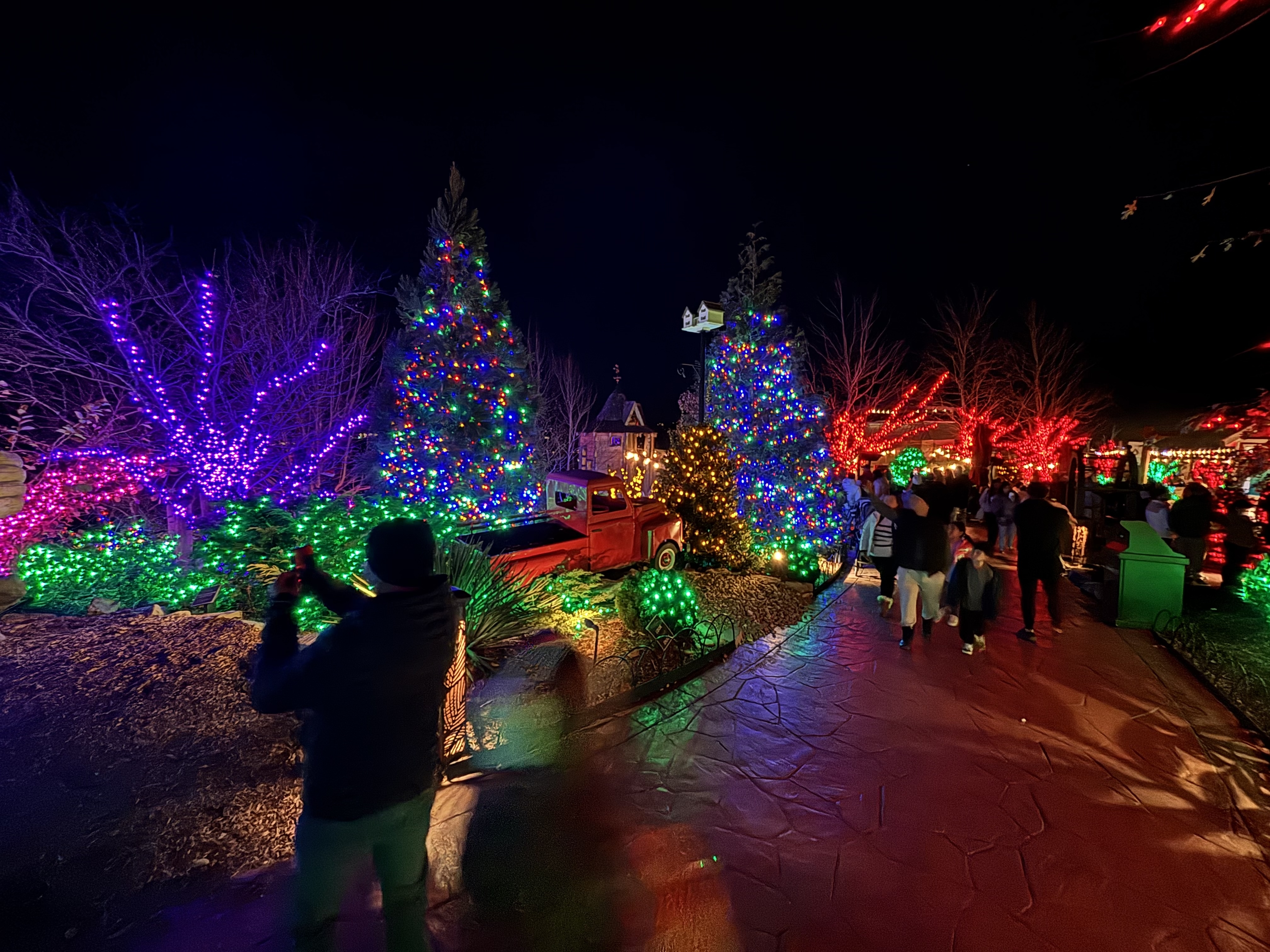 christmas lights in a park
