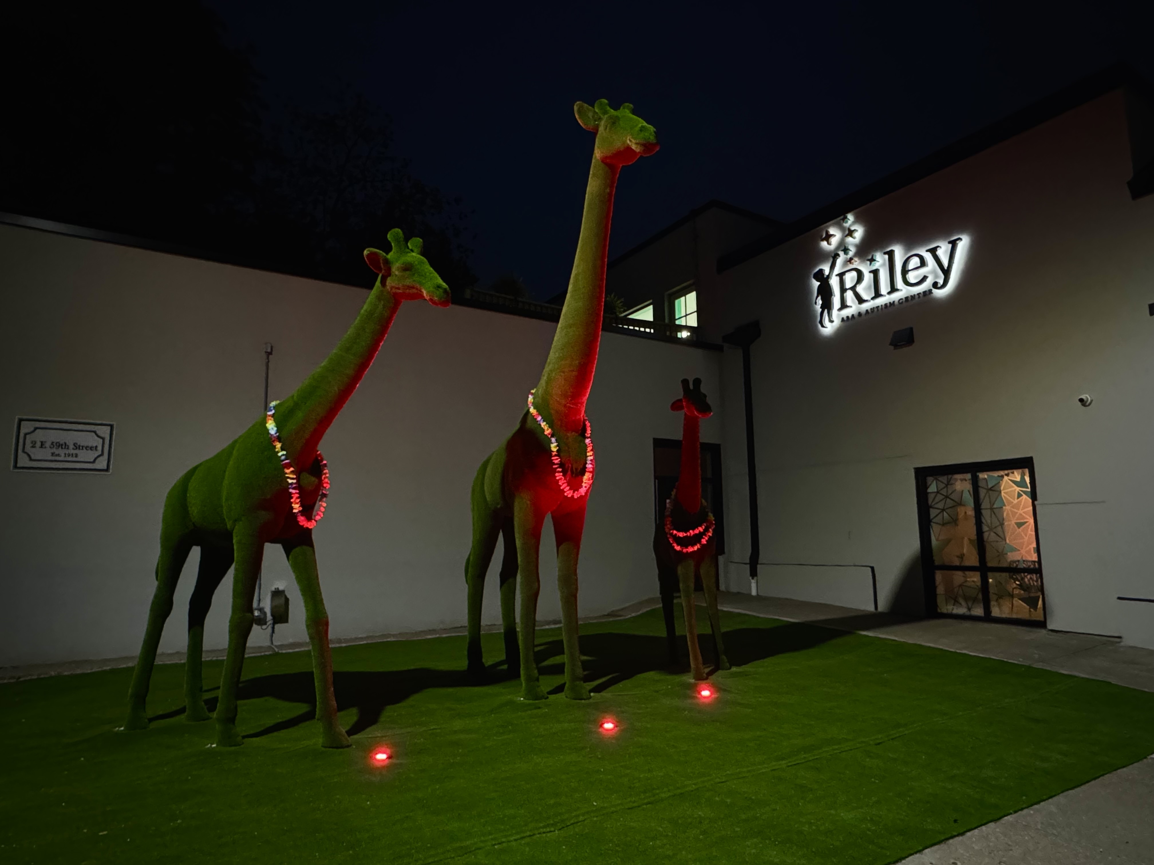 giraffe lights