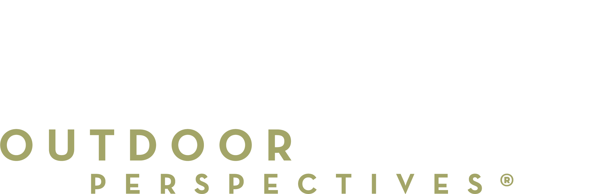 Olympic Landscape, Outdoor Lighting Service, Tacoma, Fife, Puyallup, Kent
