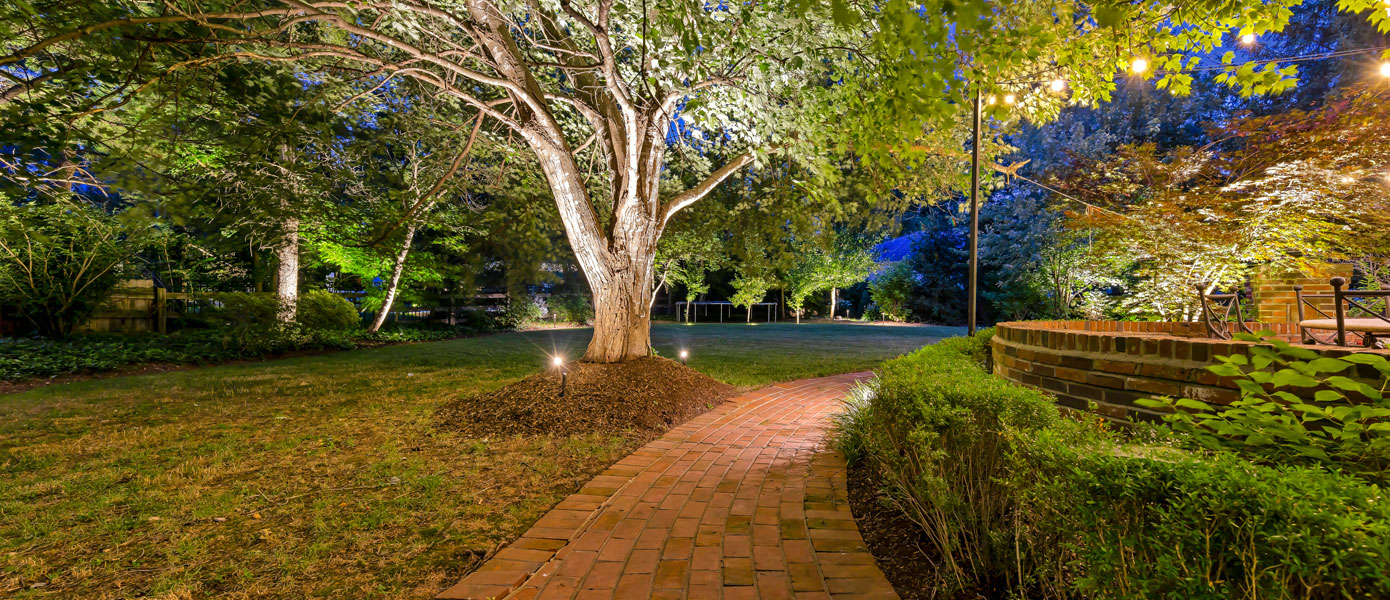 A brick path with lights on it and a tree in the middle

Description automatically generated