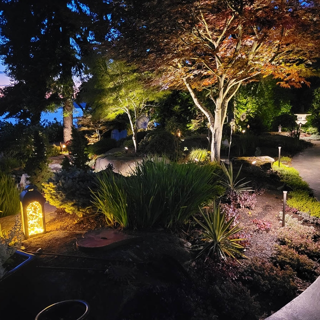 Residential Landscape Lighting In Redmond, Wa 