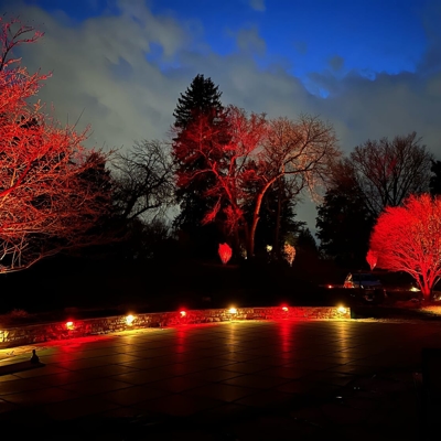 We provide color-changing hardscape lighting with our Bonsai color series. Photo