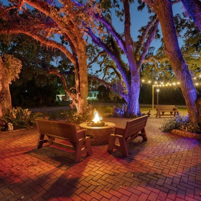 Add ambiance to your backyard with app-controlled, color-changing lighting. Photo