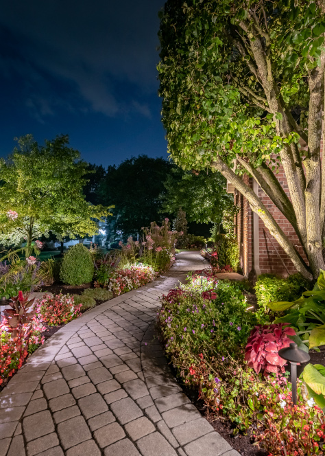 landscape lighting