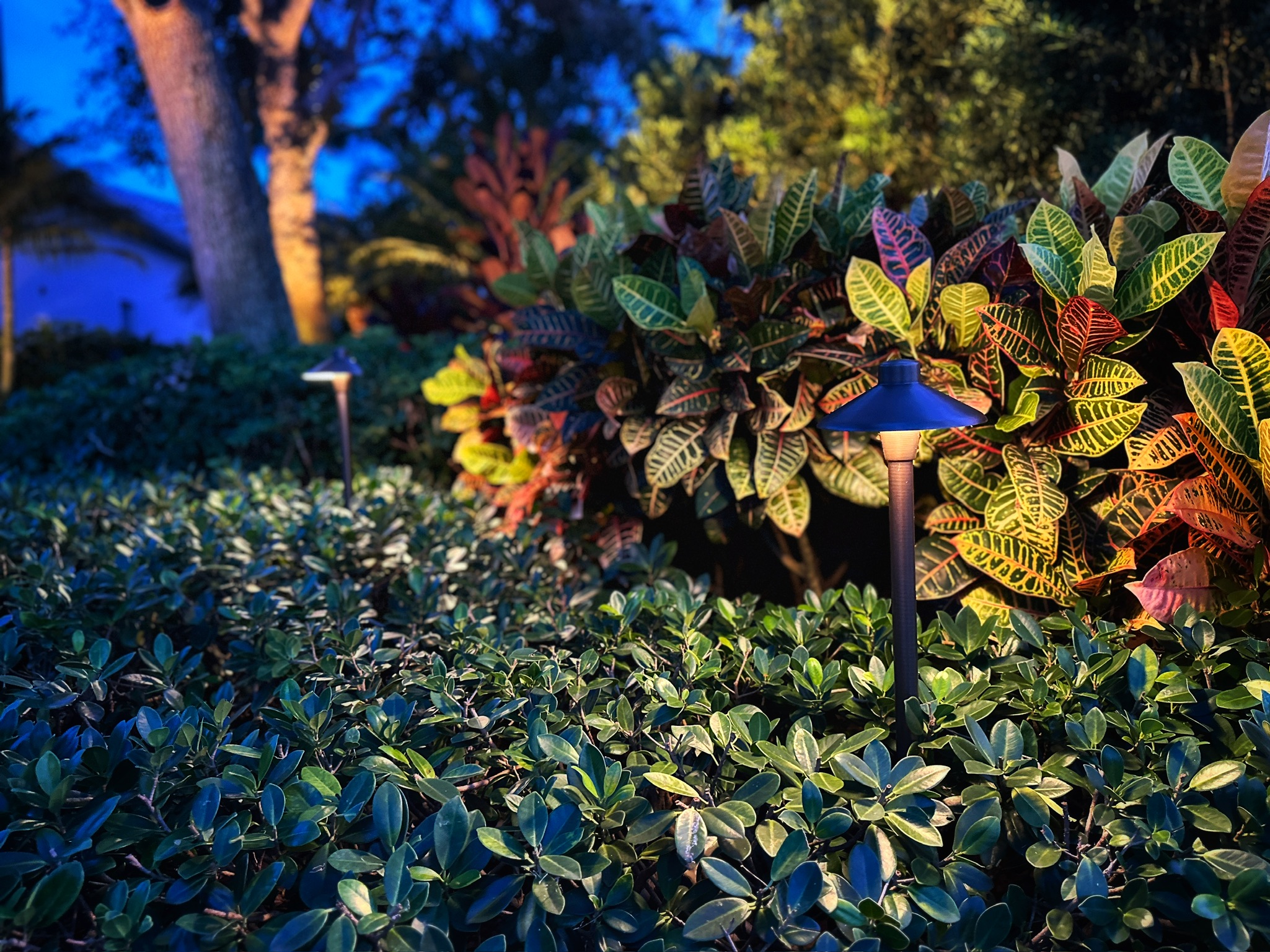 outdoor living space lit up with outdoor lighting