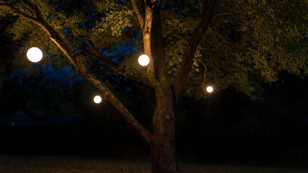 globe lighting for a tree