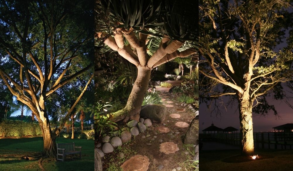 landscape lighting: tree uplighting trend 2026