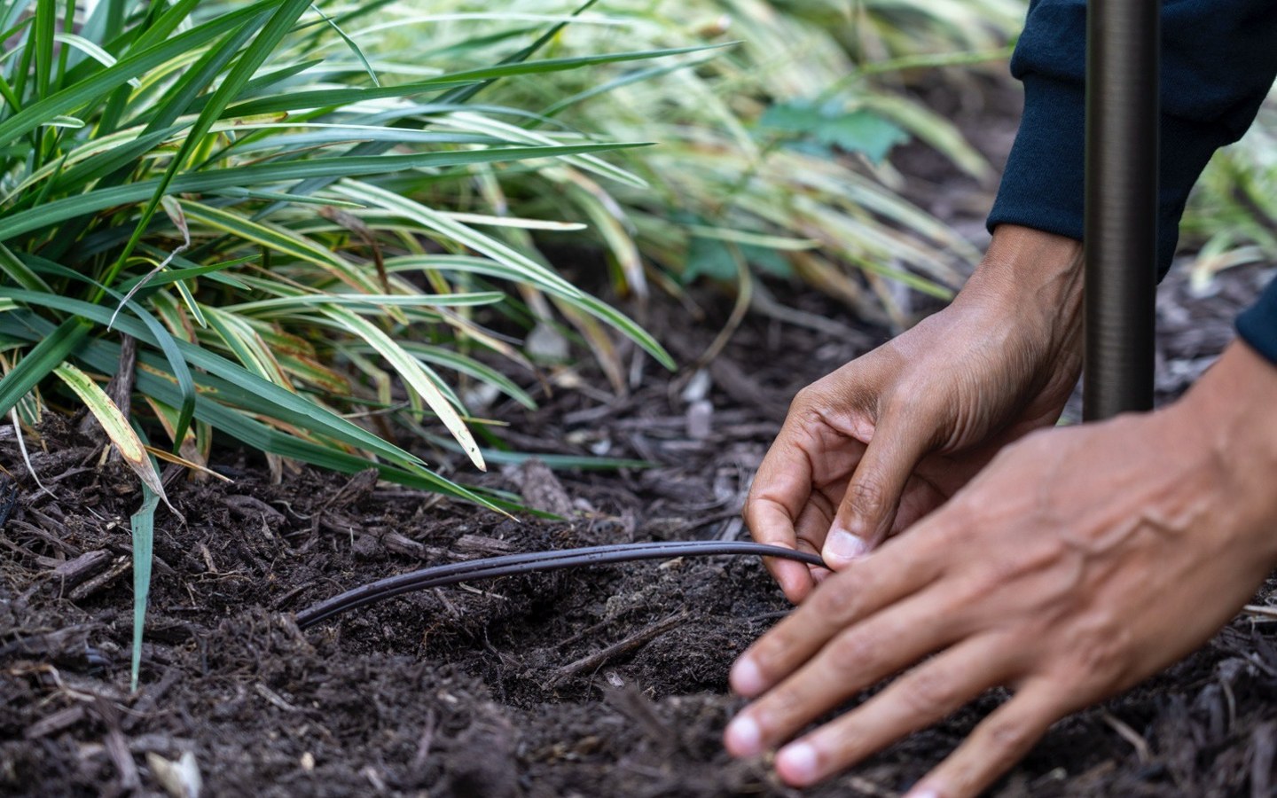 A person planting a plant

Description automatically generated