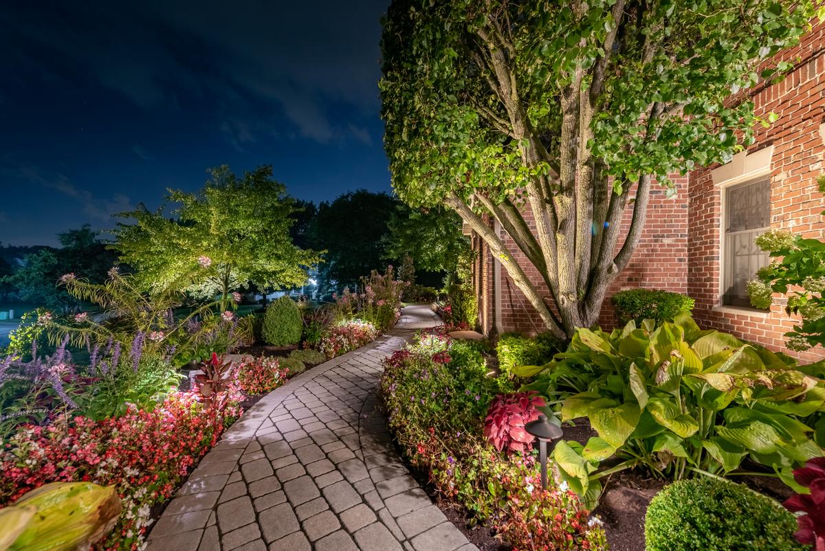 Stone pathway through garden