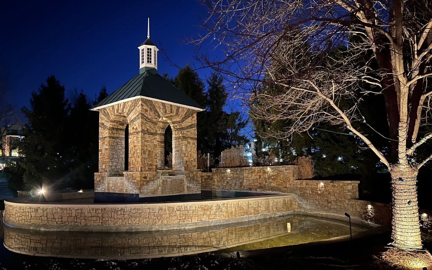 Charlotte-professional-HOA-outdoor-lighting