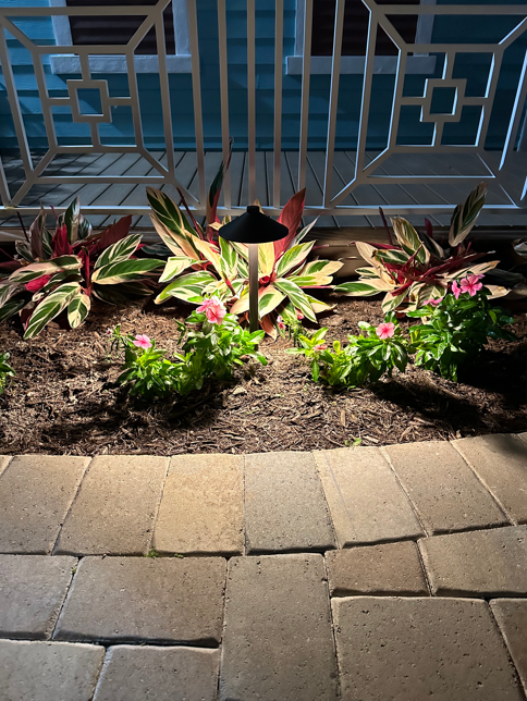 backyard illuminated with outdoor lighting