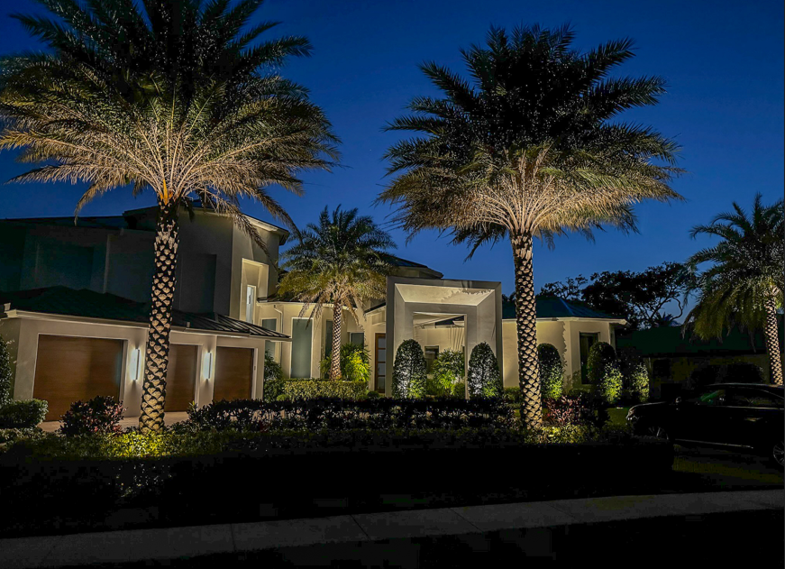 front yard illuminated with outdoor lighting