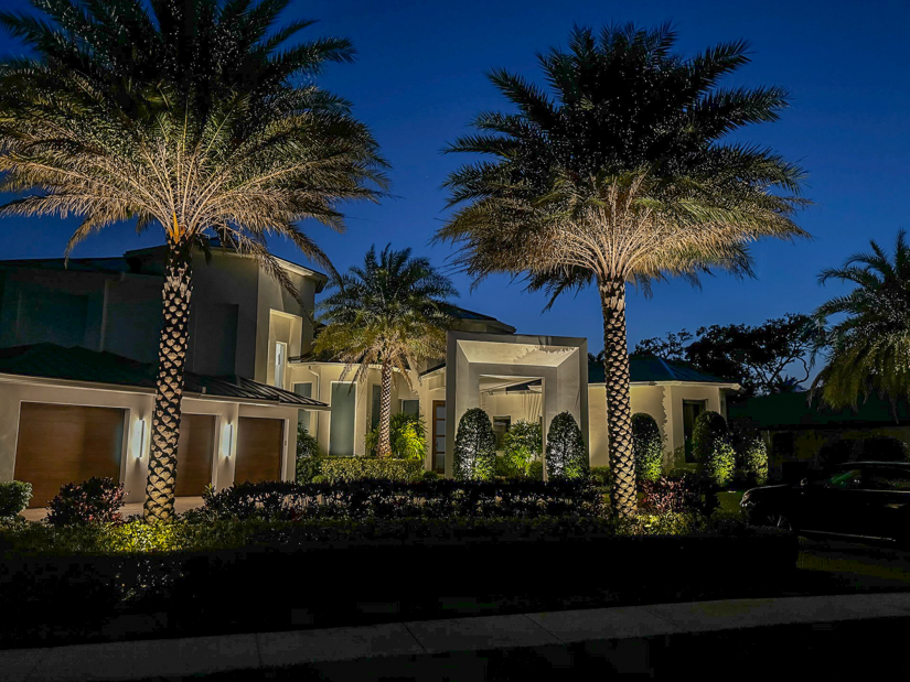 front yard illuminated with outdoor lighting