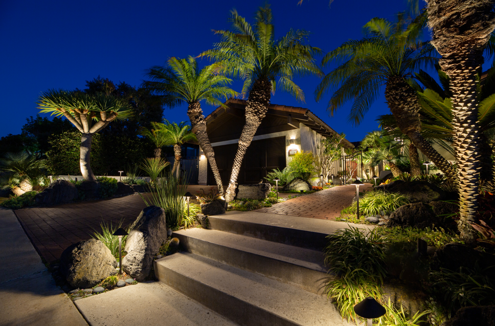 backyard illuminated with outdoor lighting