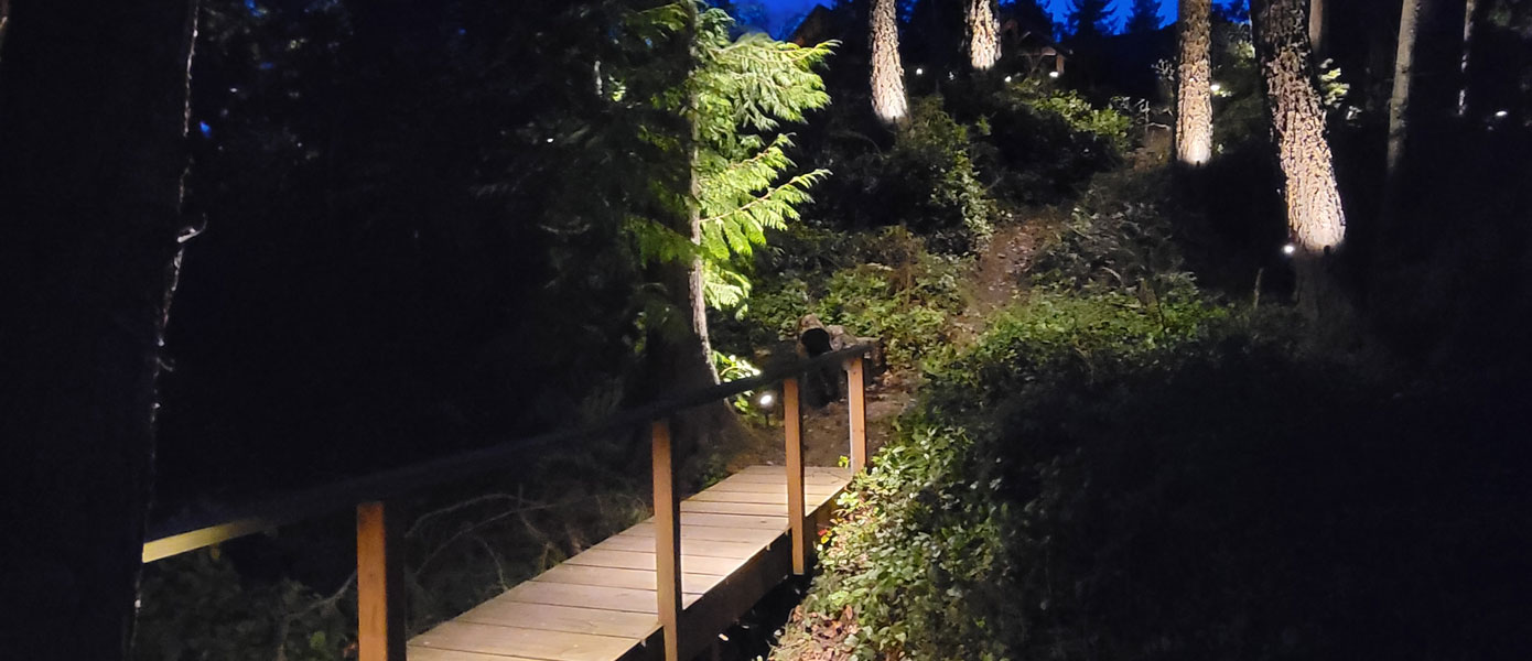 outdoor landscape lighting