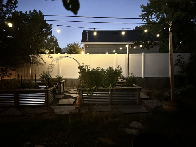 backyard garden with string lights