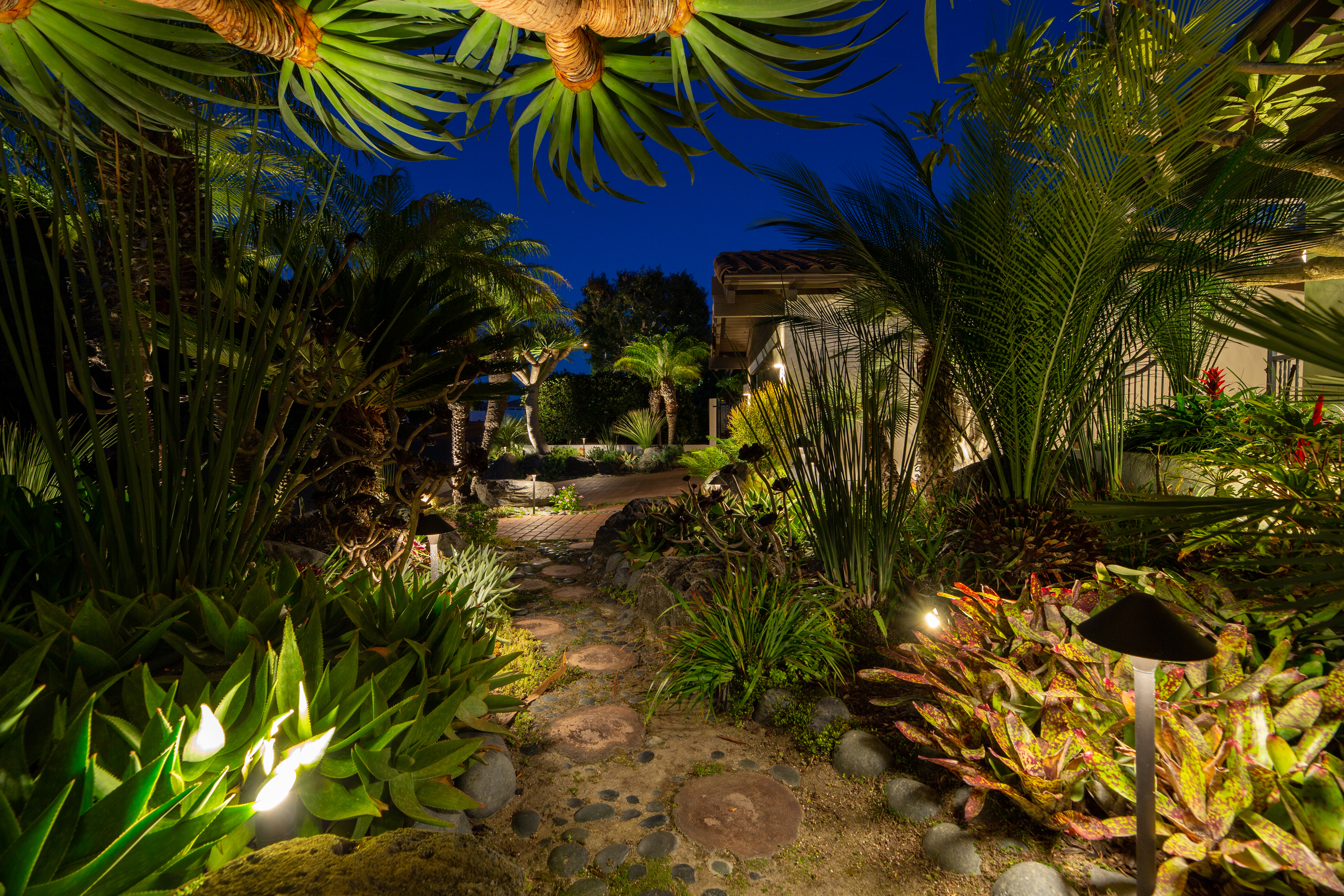 Garden filled out lighting